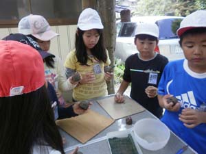 小学生の体験学習