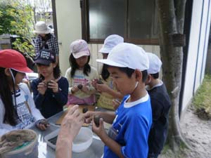 小学生の体験学習