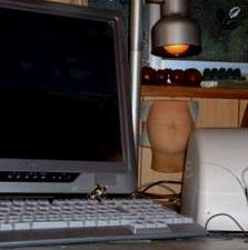 投稿写真、少女。