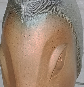 かぐや・桜子は看護師になる